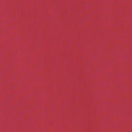 Pantalone Elisa ampio rosso ciliegia - Image 7